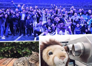 Fenerbahçe’den derbi sonrası Galatasaray’ı tiye alan paylaşım! “Bir aslan miyav dedi”